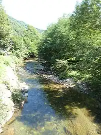 La rivière Arac.