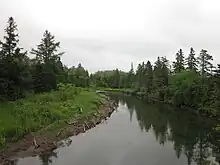 Un chenal avec ses rives boisées.