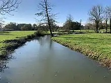 La rivière Menthon entre deux prés, derrière lesquels se trouvent quelques arbres.