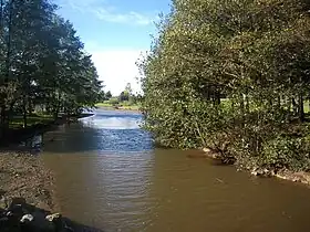 Rivière Pérouse se jetant dans l'étang.