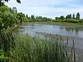 La rivière Saint-Charles (basses eaux)