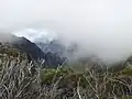 Vue sur la vallée de la rivière de Remparts depuis le sommet du piton dans l'Bout.