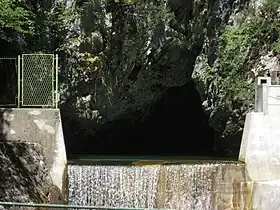 Kukuljani