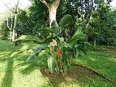 Jardins.