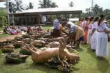 Photo en couleur montrant des cochons tournés les pattes en l'air, posés sur le sol d'une grande pelouse, à côté de paniers en osiers remplis de légumes et recouverts de nattes. Des gens sont présents à côté.