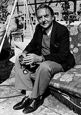 Robin Maugham
