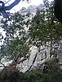 Roch Koad Pehen, rocher d'escalade à Plougastel-Daoulas.