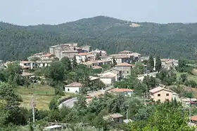 Torniella