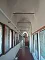 Musée, corridor des insectes et herbiers