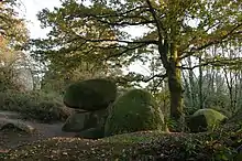 Chiron de la Morelière (Chaos granitique dans le Bressuirais)