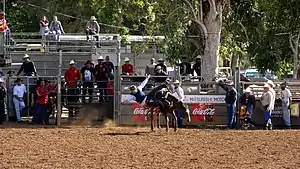 Rodéo sur Cheval