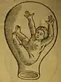Position fœtaleÉd. française 1536