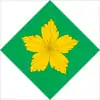 Drapeau de Rokytne