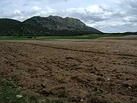 Rubielos de la Cérida