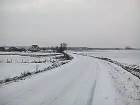Ruda (Mława)