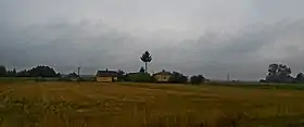 Rudolfin