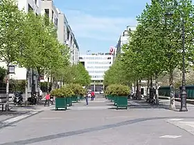 Voir la photo.