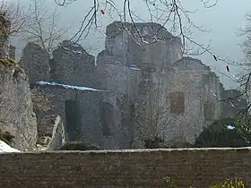 Image illustrative de l’article Château du Morimont