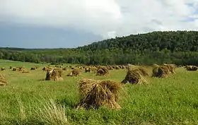 Comté de Steuben (New York)