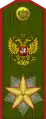 Uniforme de service de l'Armée de terre avant 2010