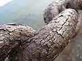 Une proxiphotographie d'une chaîne rouillée, montrant des craquelures.