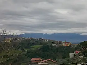 Rutino