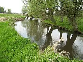 Kępa (Siedlce)