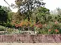 Enceinte du jardin botanique