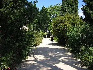 Allée d'accès.
