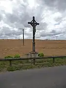 Ce calvaire.