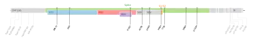 Les mutations du variant Alpha sur une carte génomique du SARS-CoV-2