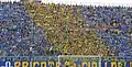« Tifo » des supporters