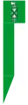 Drapeau complet saint-gallois.