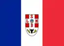 Drapeau de São Luís de Montes Belos