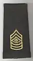 Sergeant major of the Army, après 1995