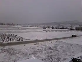 Čerin