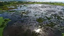 Vue aérienne d'une mportante étendue de bitume.