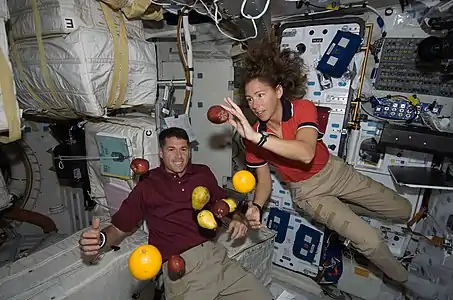 Sur le pont inférieur de la navette spatiale Endeavour dans le cadre de la missionSTS-126.