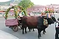 « Sa tracca », chariot à bœufs toujours utilisé pour la procession religieuse du saint patron du village