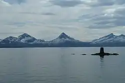 Vue sur le fjord