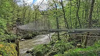 La passerelle suspendue de 47 m sur l'Auvézère en amont du Saut Ruban.