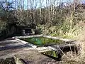 Le lavoir de la Mane (janvier &nbsp;2010)