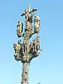 Saint-Ségal : le calvaire de la chapelle Saint-Sébastien, partie sommitale.