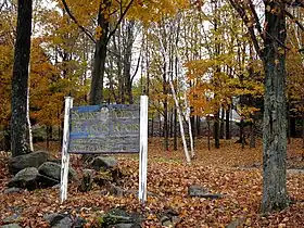 Grafton (New York)