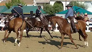 Doma vaquera.
