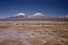 Le Pomerape (à droite) et le Parinacota (à gauche).