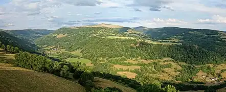 Vallée de la Maronne