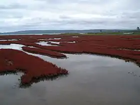 Image illustrative de l’article Lac Notoro