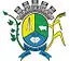 Blason de Salto do Jacuí