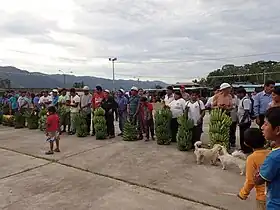Salvación (Pérou)